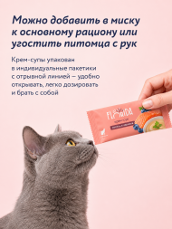 Florida - Крем-суп для котят и кошек, для чувствительного пищеварения, с лососем и черникой 75гр