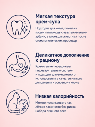 Florida - Крем-суп для котят и кошек, для чувствительного пищеварения, с лососем и черникой 75гр
