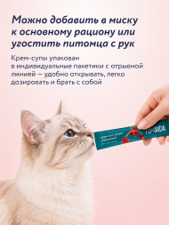 Florida - Крем-суп для котят и кошек, с тунцом и брусникой 75 гр