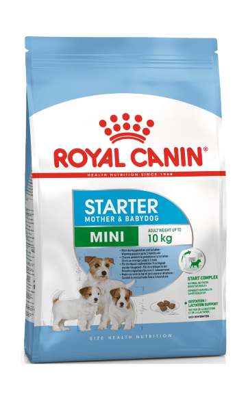 11400.580 Royal Canin Mini Starter - Syhoi korm dlya shenkov malih porod do 2 mesyacev kypit v zoomagazine «PetXP» Royal Canin Mini Starter - Сухой корм для щенков малых пород до 2 месяцев