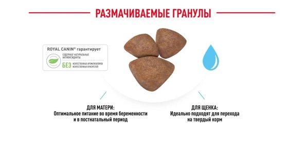 Royal Canin Mini Starter - Сухой корм для щенков малых пород до 2 месяцев