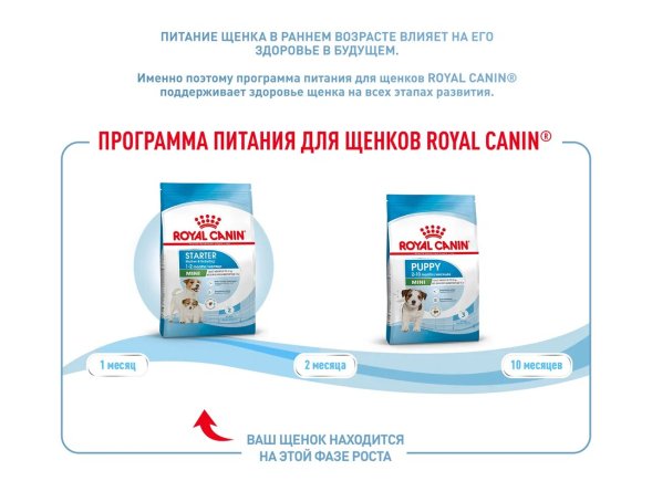 Royal Canin Mini Starter - Сухой корм для щенков малых пород до 2 месяцев
