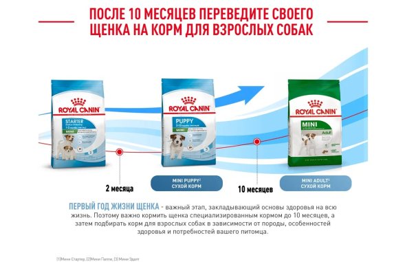 Royal Canin Mini Starter - Сухой корм для щенков малых пород до 2 месяцев