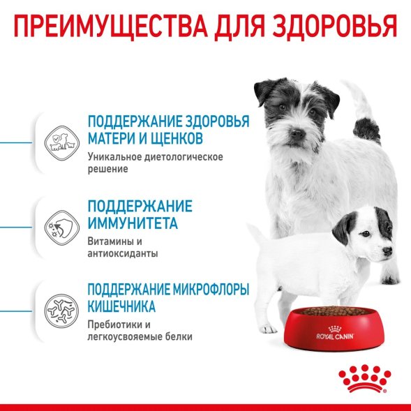 Royal Canin Mini Starter - Сухой корм для щенков малых пород до 2 месяцев