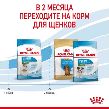 Royal Canin Mini Starter - Сухой корм для щенков малых пород до 2 месяцев