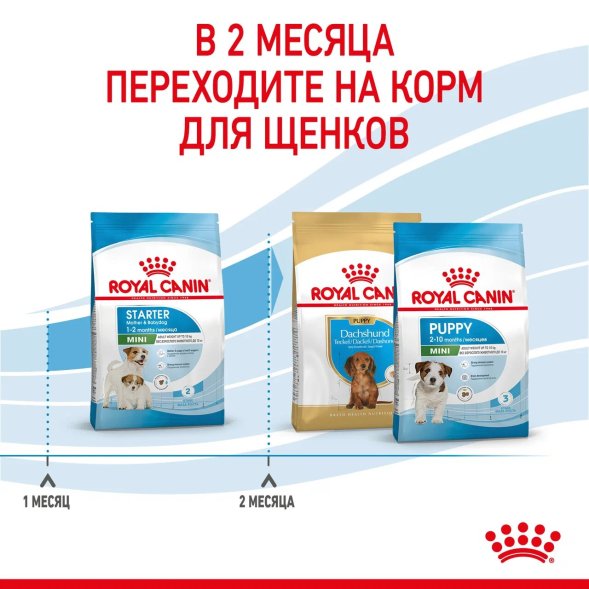 Royal Canin Mini Starter - Сухой корм для щенков малых пород до 2 месяцев