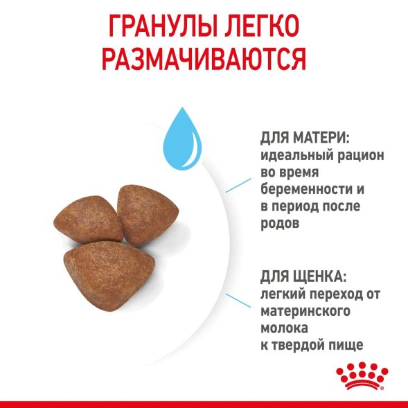 Royal Canin Mini Starter - Сухой корм для щенков малых пород до 2 месяцев