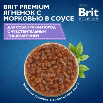 Brit - Пауч для взрослых мини собак с чувствительным пищеварением с ягненком и морковью в соусе 85 гр