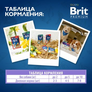 Brit - Пауч для взрослых мини собак с чувствительным пищеварением с ягненком и морковью в соусе 85 гр
