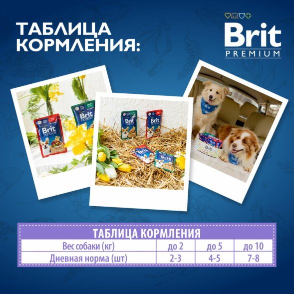 Brit - Пауч для взрослых мини собак с чувствительным пищеварением с ягненком и морковью в соусе 85 гр