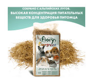 Fiory - Сено Evergreen, 1 кг (30 л)