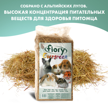 Fiory Evergreen - Сено для грызунов, 1 кг