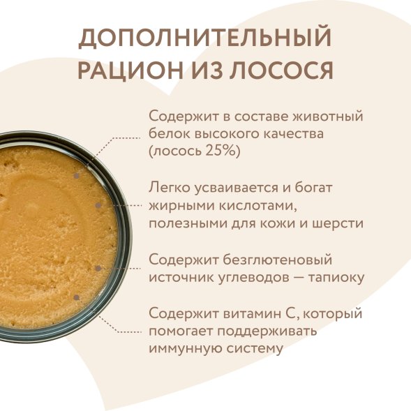 Мнямс - Влажный дополнительный корм для собак и щенков старше 6 месяцев, мусс из лосося, 80 г