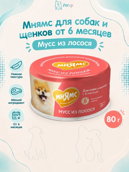 Мнямс - Влажный дополнительный корм для собак и щенков старше 6 месяцев, мусс из лосося, 80 г