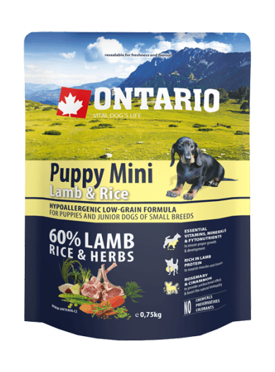 puppy-mini-lamb--rice.png