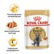 Royal Canin British Shorthair - Влажный корм для кошек породы Британская короткошерстная 85гр
