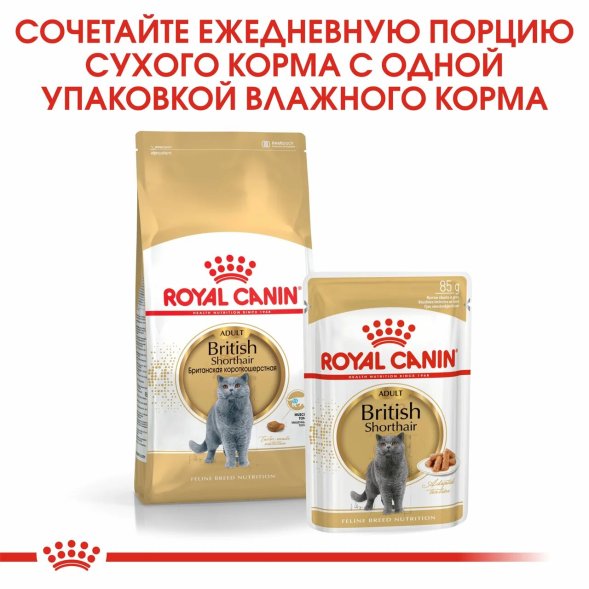 Royal Canin British Shorthair - Влажный корм для кошек породы Британская короткошерстная 85гр