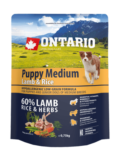 puppy-medium-lamb--rice.png