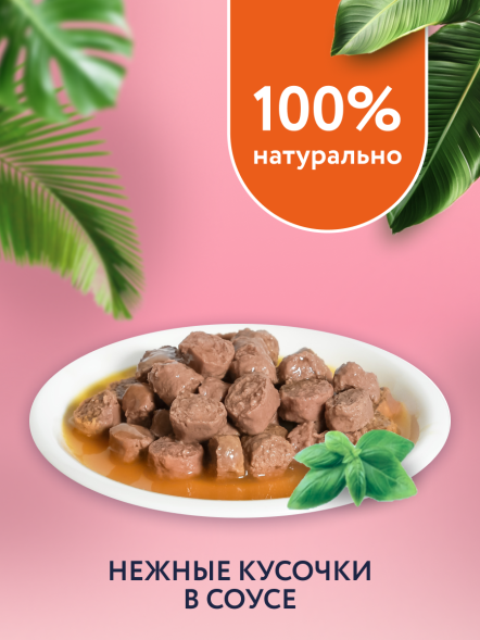 Florida - Паучи для взрослых кошек с чувствительным пищеварением, Кусочки с Индейкой и Морковью в соусе, 85 гр