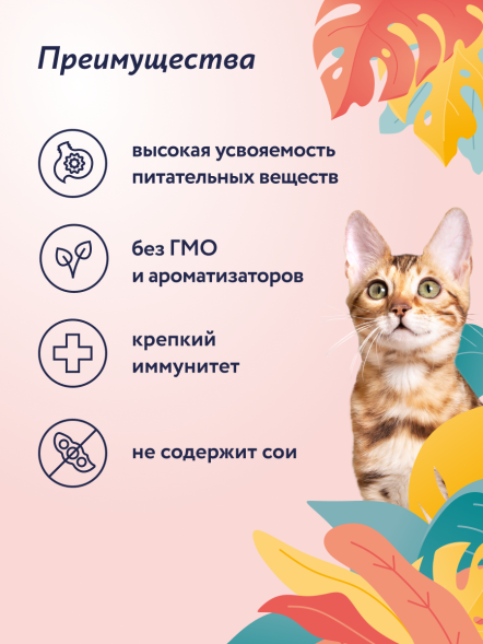 Florida - Консервы для кошек, Лосось с Черникой, 100 гр