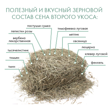 Fiory Alpiland Green - Сено Альпийское с люцерной, 500 г