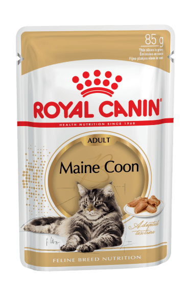 11569.580 Royal Canin Maine Coon - Vlajnii korm dlya koshek porodi Mein-kyn 85gr kypit v zoomagazine «PetXP» Royal Canin Main Coon - Влажный корм для кошек породы Мейн-кун 85гр