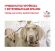 Royal Canin Diabetic DS 37 - Сухой корм для собак при сахарном диабете