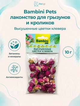 Bambini Pets - лакомство высушенные цветы клевера для грызунов и кроликов, 10 г