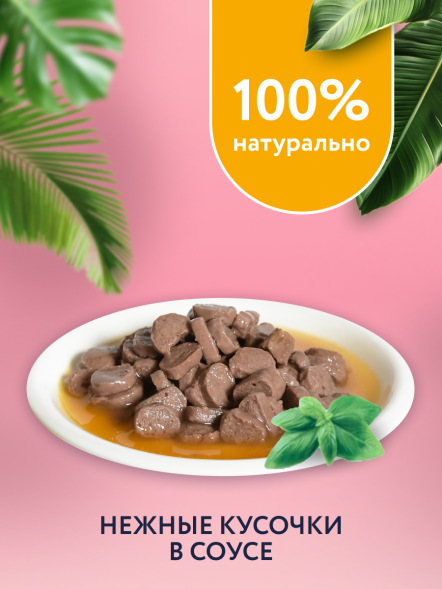 Florida - Паучи для котят, Кусочки с Курицей в соусе, 85 гр