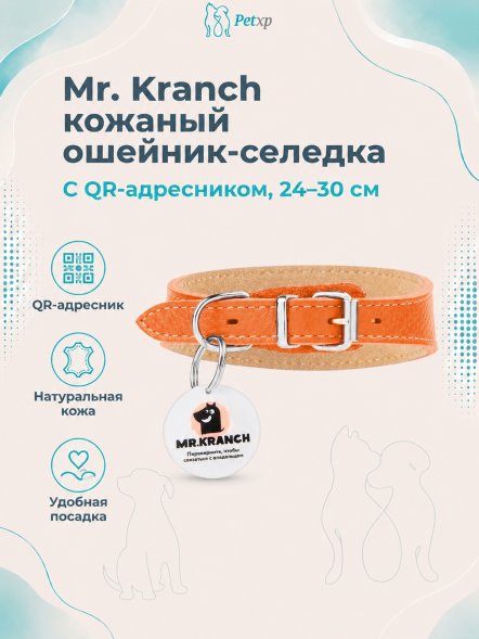 Mr. Kranch - Ошейник-селедка - для собак из натуральной кожи с QR-адресником, 24-30 см