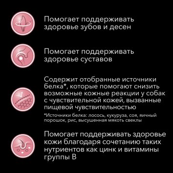 Purina Pro Plan Acti Protect - Сухой корм для взрослых собак малых пород, с чувствительным пищеварением, с лососем 3кг