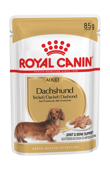 17210.580 Royal Canin Dachshund - Vlajnii korm dlya sobak porodi Taksa kypit v zoomagazine «PetXP» Royal Canin Dachshund - Влажный корм для собак породы Такса
