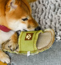 PetSHOP - Игрушка для собак "Тапок" брезентовый, 24 см