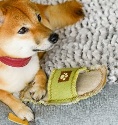 PetSHOP - Игрушка для собак "Тапок" брезентовый, 24 см