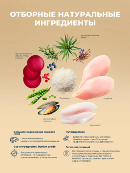 Original Choice - Сухой корм для котят, беременных и кормящих кошек со свежим мясом индейки и черникой