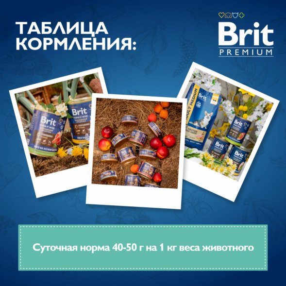 Brit - Консервы для щенков всех пород, с Ягненком, 100 гр