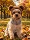 PetSHOP - Шапка для животных, с ушками