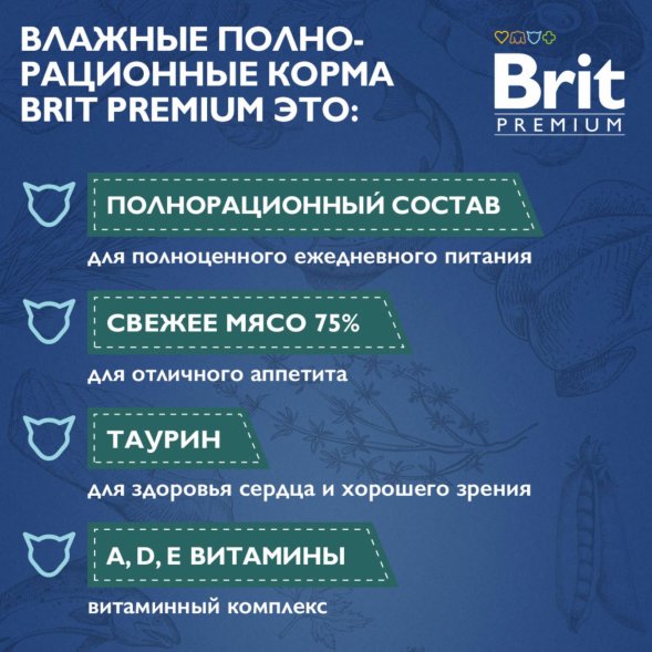 Brit - Пауч для взрослых стерилизованных кошек, с Уткой и Яблоками в желе, 85 гр