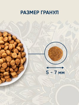 Vida Nativa - Сухой корм для котят, с курицей и черникой