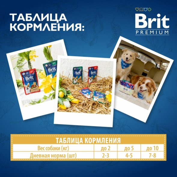 Brit - Пауч для взрослых стерилизованных собак всех пород, с Курицей в соусе, 85 гр