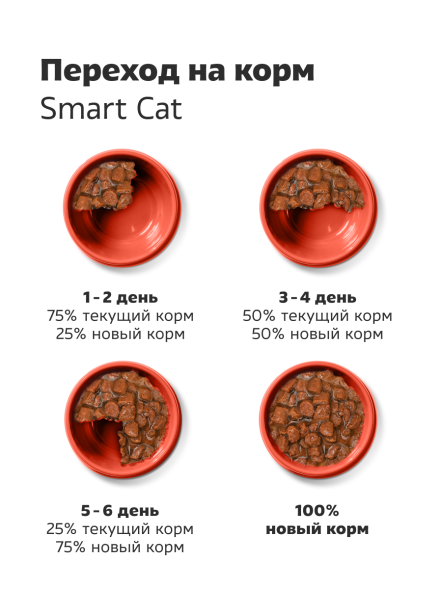 Smart Cat - Паучи для кошек и котят, кусочки говядины в нежном соусе 85гр