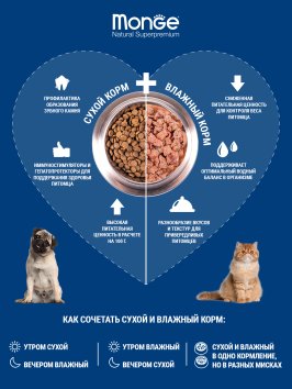 Monge Monoprotein (Монопротеин) - паучи для котят с форелью 85 г