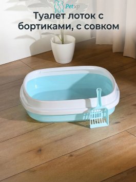 Туалет лоток с бортиками, с совком