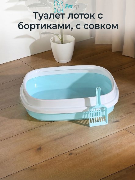 Туалет лоток с бортиками, с совком