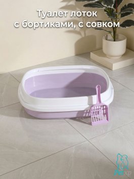Туалет лоток с бортиками, с совком