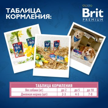 Brit - Пауч для взрослых стерилизованных собак мини пород, с Кроликом и Брусникой в соусе, 85 гр