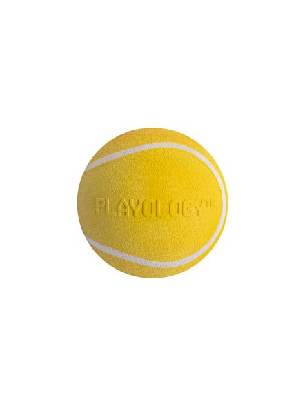 Playology - Жевательный мяч SQUEAKY CHEW BALL 6 см для собак мелких и средних пород с пищалкой и с ароматом