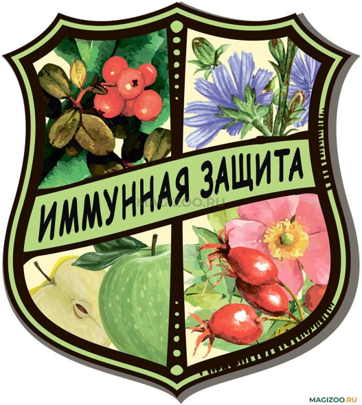 ZooRing Indoor - Сухой корм для кошек, цыпленок с розмарином (Adult Chicken&amp;amp;rosemary)
