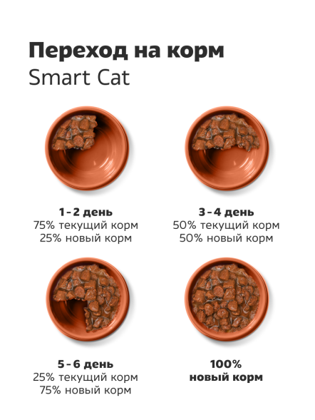 Smart Cat - Паучи для кошек и котят, кусочки индейки в нежном соусе 85гр