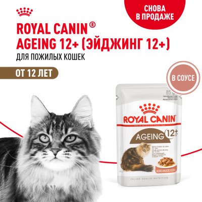 Royal Canin Ageing +12 - Влажный корм для кошек старше 12 лет, в соусе 85гр Royal Canin Ageing +12 - Влажный корм для кошек старше 12 лет, в соусе 85гр